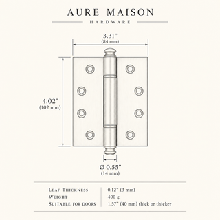 Solid Brass Door Hinge