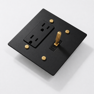 2G Toggle Switch + Outlet