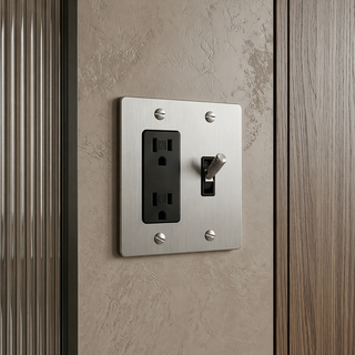 Stainless Steel Toggle Switch + Outlet 2G