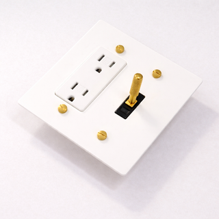 2G Toggle Switch + Outlet