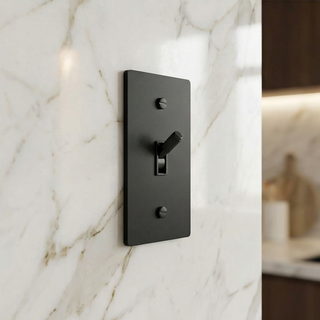 Toggle Switch
