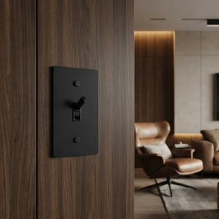 Toggle Switch