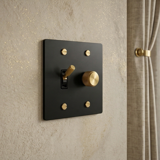 2G Toggle Switch + Dimmer