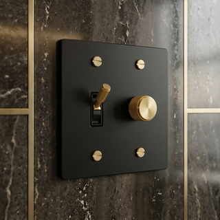 2G Toggle Switch + Dimmer