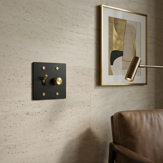 2G Toggle Switch + Dimmer