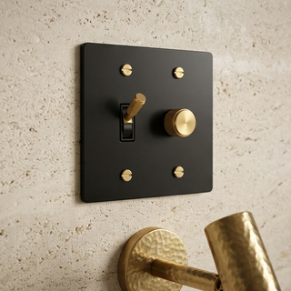 2G Toggle Switch + Dimmer