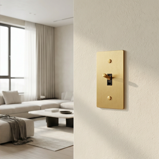 Toggle Switch