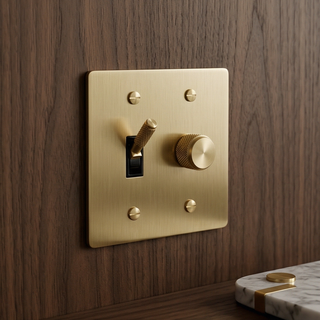 2G Toggle Switch + Dimmer