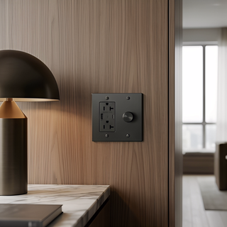 Matte Black Dimmer + Outlet with USB-C & USB-A 2G