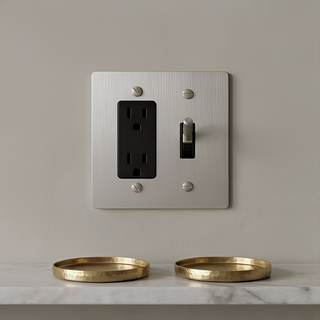Stainless Steel Toggle Switch + Outlet 2G