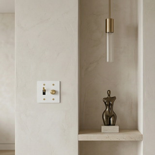 Ivory white and brass 2-gang toggle switch and dimmer plate