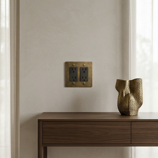 Aged Brass with Patina Duplex Outlet - 2G