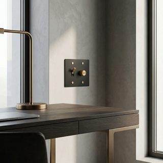 Matte Black & Brass Toggle Switch + Dimmer - 2G