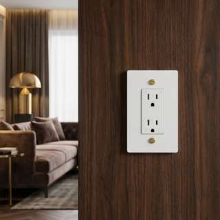 Ivory White & Brass Duplex Outlet - 1G