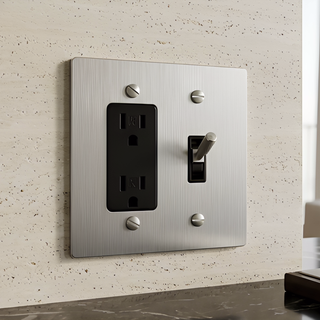 Stainless Steel Toggle Switch + Outlet 2G