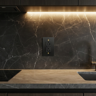 Matte Black & Brass Duplex Outlet with USB-C & USB-A - 1G