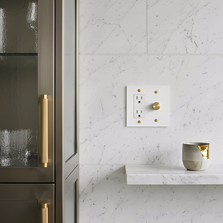 Ivory White & Brass Dimmer + Outlet 2G