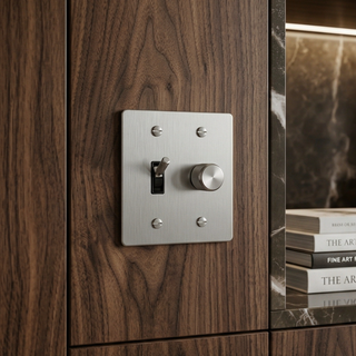 Stainless Steel Toggle Switch + Dimmer - 2G