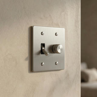 Stainless Steel Toggle Switch + Dimmer - 2G