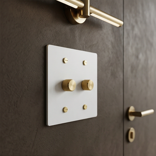 2G Dimmer