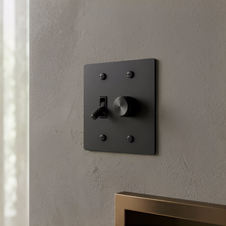 Matte Black Toggle Switch + Dimmer - 2G