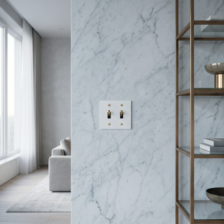2G Toggle Switch White & Brass