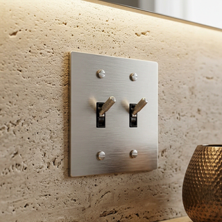 Stainless Steel Toggle Switch - 2G