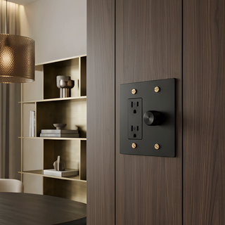 Matte Black & Brass Dimmer + Outlet 2G