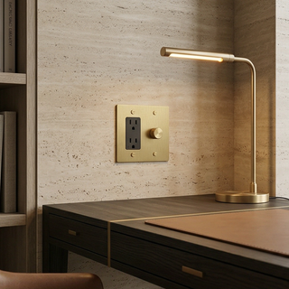 2G Dimmer + Outlet