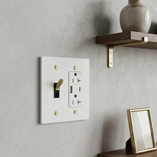 2G Toggle Switch + Outlet with USB-C & USB-A