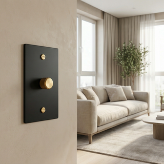 Matte Black & Brass Dimmer - 1G