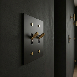 2G Toggle Switch