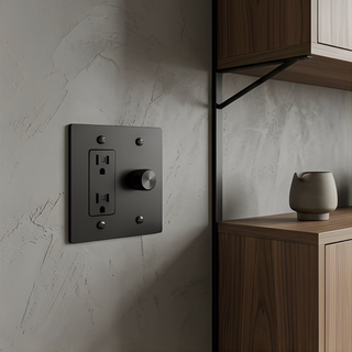 2G Dimmer + Outlet