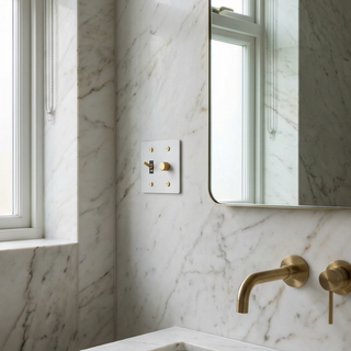Ivory white and brass 2-gang toggle switch and dimmer plate
