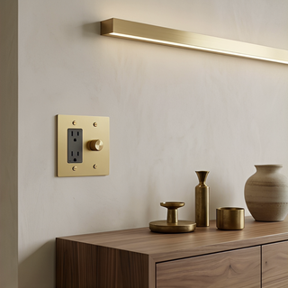 2G Dimmer + Outlet