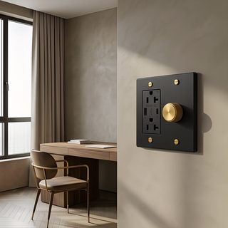 Matte Black & Brass Dimmer + Outlet with USB-C & USB-A 2G