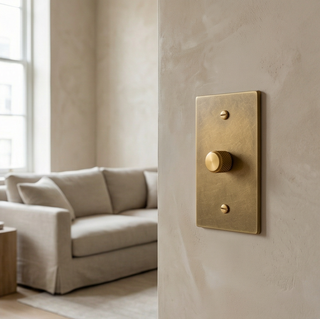Aged Brass with Patina Dimmer - 1G
