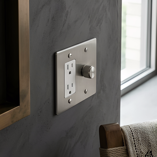 Stainless Steel Dimmer + Outlet 2G
