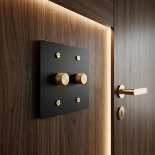 Matte Black & Brass Dimmer - 2G