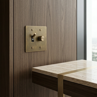 Aged Brass with Patina Toggle Switch + Dimmer - 2G