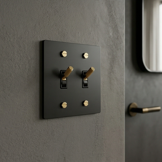 Matte Black & Brass Toggle Switch - 2G