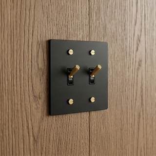 Matte Black & Brass Toggle Switch - 2G