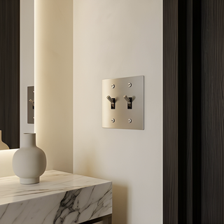 Stainless Steel Toggle Switch - 2G