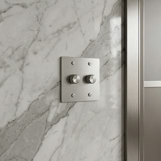Stainless Steel Dimmer - 2G