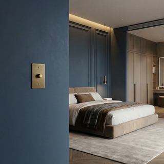 Aged Brass with Patina Dimmer - 1G