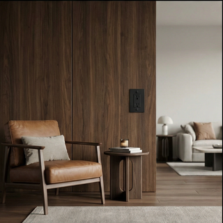 Matte Black Duplex Outlet - 1G