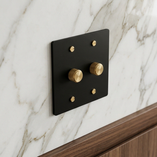 Matte Black & Brass Dimmer - 2G