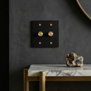 Matte Black & Brass Dimmer - 2G