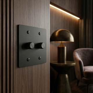 Matte Black Dimmer - 2G