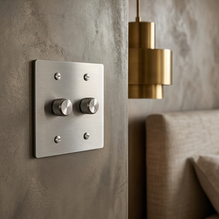 Stainless Steel Dimmer - 2G